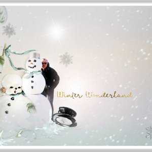 Winter Wonderland