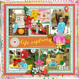 life captured