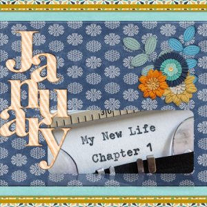 My New Life - January 2017 Connie Prince Challenge