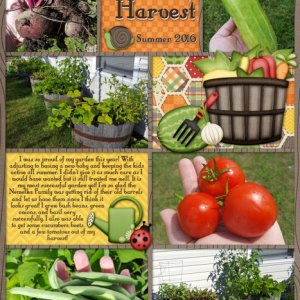 Garden Harvest