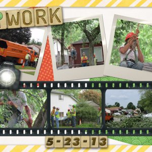 Tree Work 5-23-13