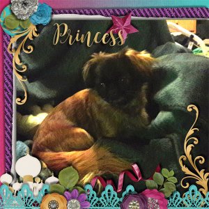 Princess