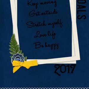 2017 Goals