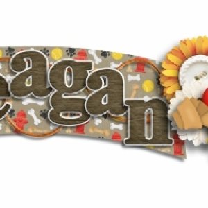 siggy