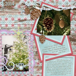 pinecones on the tree