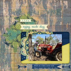 sandie03-Lovely Life Tractor