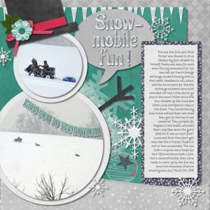 Snow-Mobile fun!