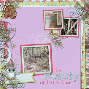 The Beauty of the Outdoors