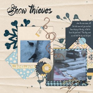 snow theives