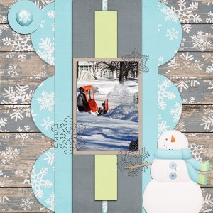 PS_-_GS_Jan_17_T_2