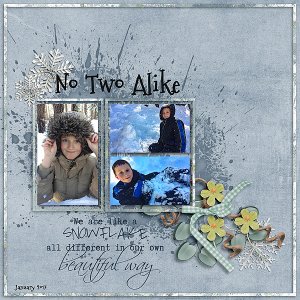 No Two Alike