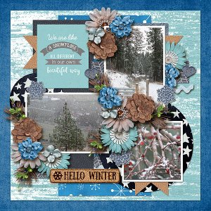 Winter Wonderland