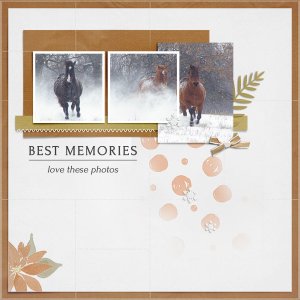 Best Memories