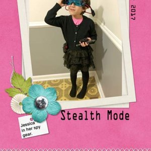 Stealth Mode