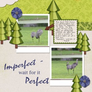 Imperfect