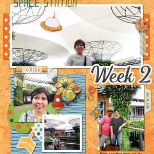 project 365