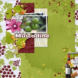 Muscadines