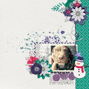 January 2017 Mix It Up Challenge