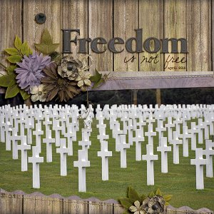 Moc 5 day 16 freedom