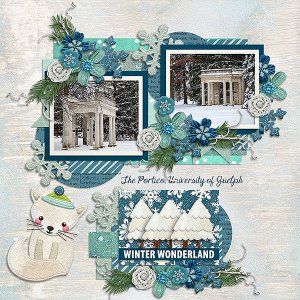 Winter Wonderland
