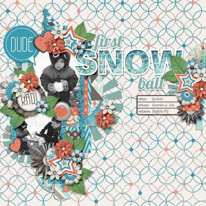 First Snow Ball