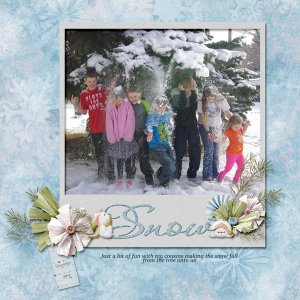 12-Timothy_snow_2015_small