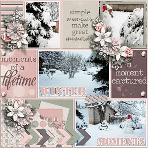 Winter moments