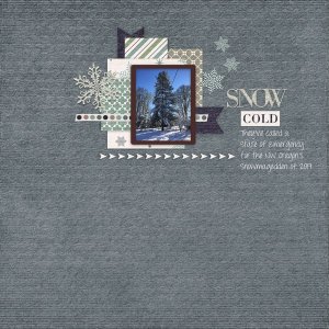 Snow Cold