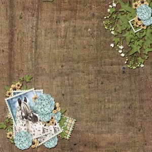 scraplift0117