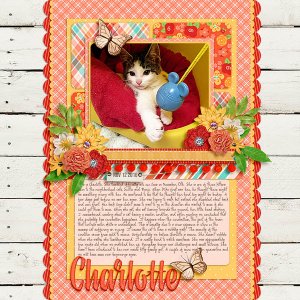 Charlotte