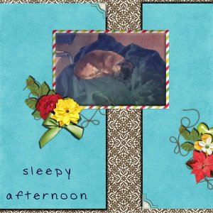 Fallen asleep