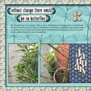Butterflies