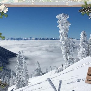 In the Snow, Above the Fog