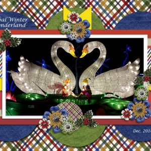 Global Winter Wonderland Swans