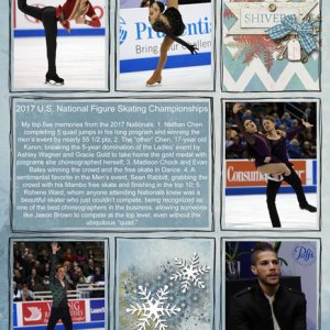 2017 U.S. National Figure Skating Championships