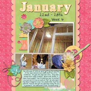 January 22nd - 28th -- Week 4