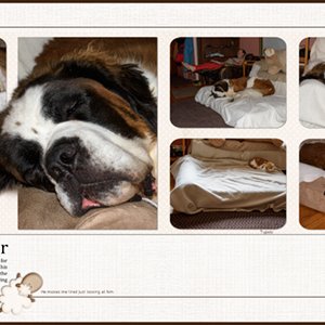 Rocky and his Big Barker