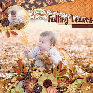 Falling-Leaves1