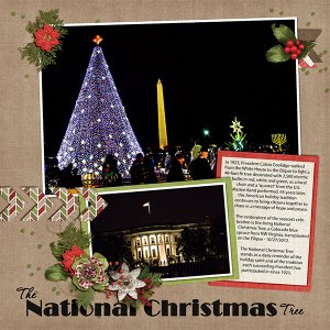 National Christmas Tree and Pathway of Peace_L