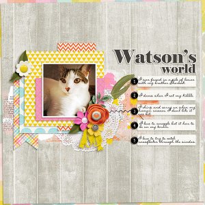 Wonderful Watson