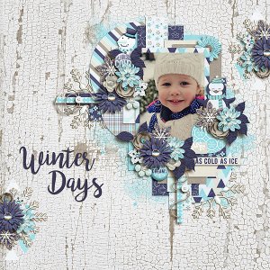Winter Days