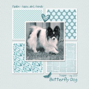 Butterfly Dog