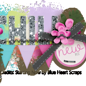 January 2017 Siggie