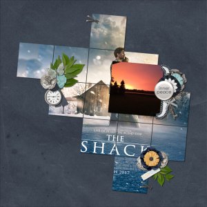 2017-03 The Shack1 bhs_blockon