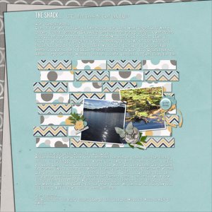 2017-03 The Shack2 bhs_blockon