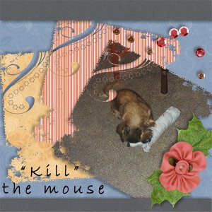 Killing the mouse