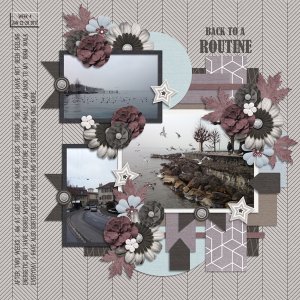 2017W4-Back to a Routine