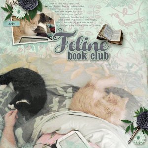 Feline Book Club