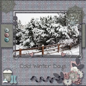Cold Winter Days