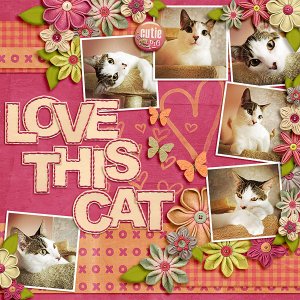 love this cat